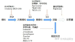 加州旅馆采集到运动·健康·生化