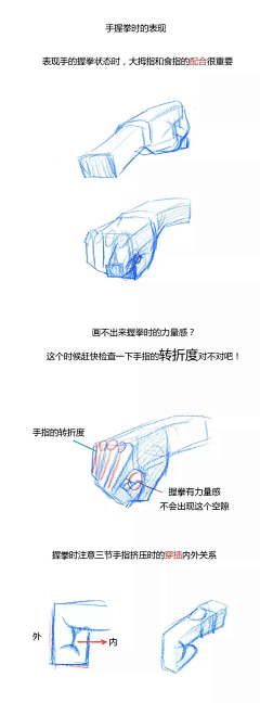 一路向南hojn采集到人体结构