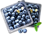 水果 蓝莓