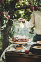 Ginger Spiced Apple Cake + Maple Tahini