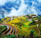 Longji Terraced Rice Fields China