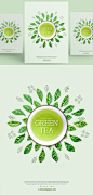 清新绿茶海报PSD模板Green tea product posters template#ti336a1602 :