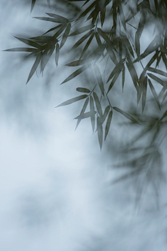 Rain_雨_采集到静