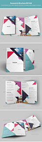 Geometric Corporate Brochure