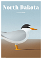 NetCredit濒临灭绝的动物噪点插画设计作品(5)