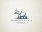 Matson Ridley Safaris by Zoran Trifunovic