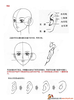 书僮·狼人采集到绘画技巧