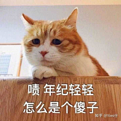 向日葵ins采集到嘻嘻L