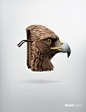 Sears Optical眼镜平面广告-给您老鹰猫的眼睛封面大图