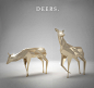 DEERS. : Some deers. Just for fun.