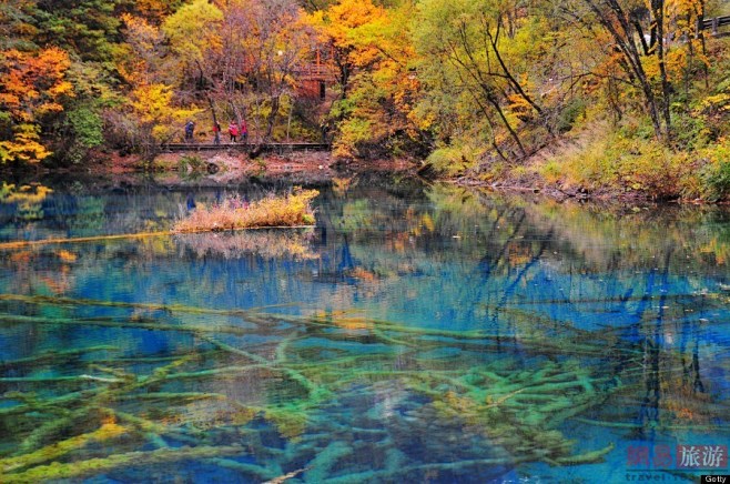 五花海 中国九寨沟
该湖因湖底的植物和矿...