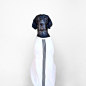 1027 Adorable German Shorthair Assumes Many Different Looks and Poses in Whimsical Photo Series