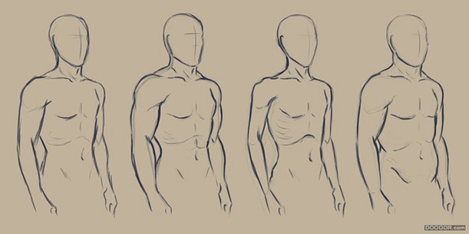 百家人体结构画法 之 肩部-胸腔-后背动...