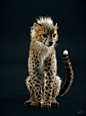 The Baby Cheetah in studio, Yuriy Dulich : In this project I tried to realize a photorealistic baby cheetah with all the details in studio lighting
More variation of color corrections:
https://yuriydulich.blogspot.com/2017/12/the-baby-cheetah-in-studio.ht