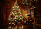 拍摄圣诞树时间由煤气灯上500px的