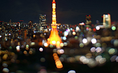 刺猬的刺猬采集到J  日本东京梦幻夜景