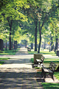 City Park Benches Portland Oregon