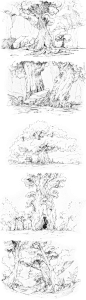 Tree collection : Client: Personal workRole: Concept art, illustration, landscape design, background