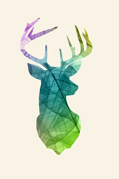 抽象树叶动物小鹿光影透明微距摄影唯美素材...