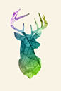 抽象树叶动物小鹿光影透明微距摄影唯美素材艺术画插画《麋鹿》，又名“四不象”，是世界珍稀动物，属于鹿科。因为它头脸像马、角像鹿、颈像骆驼、尾像驴，因此得名四不像。