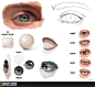 Eye Tutorial Resource by *ConceptCookie on deviantART