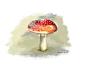 taotaopanda  的插画 中了毒的小蘑菇
