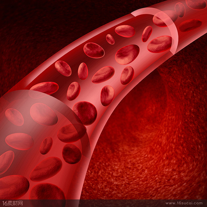 血管里的红色血小板高清图片