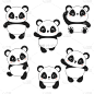 熊猫,分离着色,可爱的,白色,亚洲,动物园,野生动物,哺乳纲,性格