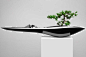 The Most Beautiful And Unique Bonsai Trees In The World: