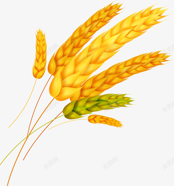 b6f8d9697bc1452fa361f2e2389b443204b622a521803-9EKlNp