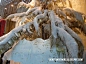 Anthropologie Winter Window Display : I'm going to let this Anthropologie window display be an image post without many words.  This is the Rockefeller Center location, I'll post ...