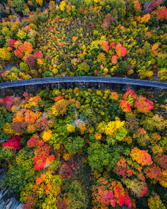 花儿匠采集到平面配景