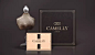 获得多次奖的Camelly珠宝品牌形象VI设计