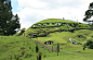在新西兰的Matamata，这里有广阔的草地，17个低矮的洞穴，像是指环王里的世外桃源Shire，而这里的羊则非常喜欢“哈比人的洞穴”。