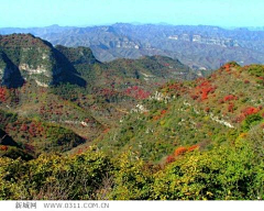 鱼儿天下采集到旅游