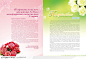 红玫瑰白玫瑰玫瑰装饰花边星光草地宣传册版式设计