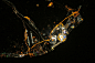 索契之夜（卫星图）此图为国际空间站宇航员于2月10日晚拍摄。图中可见，索契是个黑海边的条状城市。中间金色圈状为奥林匹克公园，金圈中的蓝色圈状为菲施特奥林匹克体育场（开闭幕式场馆，据说不承担冬奥会赛事，但在2018年，这里将迎来足球世界杯的比赛），中间为燃烧着的奥运火炬。图片来自NASA
