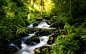 forests rivers Wallpaper #3757 - wallhaven.cc