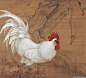 冯英杰工笔画——精美的鸡