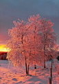  雪日出，挪威