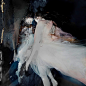 Gabriele Viertel的水下摄影作品