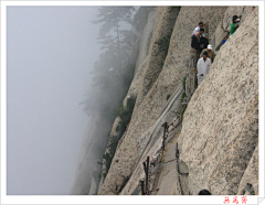 水公采集到华山   H