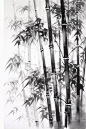 黑白水墨中国风竹子竹林自然风景插画