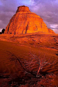 学医好好呦采集到场景照片.风景