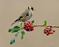 Photograph Goldfinch resting on Holly by Dean Mason on 500px