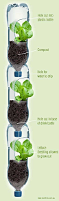 All you need is a small amount of vertical space around a balcony or an open window which can hang or store a vertical array of drink bottles that can grow all your herbs and lettuce easily.