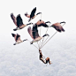 Surreal Composite Photos by Luisa Azevedo