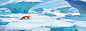 fox in the snow, ZooYoung . : concept art for side-scrolling game.
2014