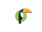 Toucan dribbble