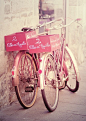 ~ Pink Bicycles ~